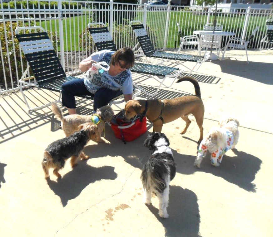 The dogs all love Cathy, who brought three of her own. Photo by Carol.