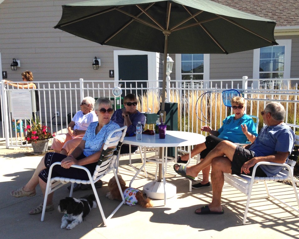 Sylvia's photo of humans having fun too.